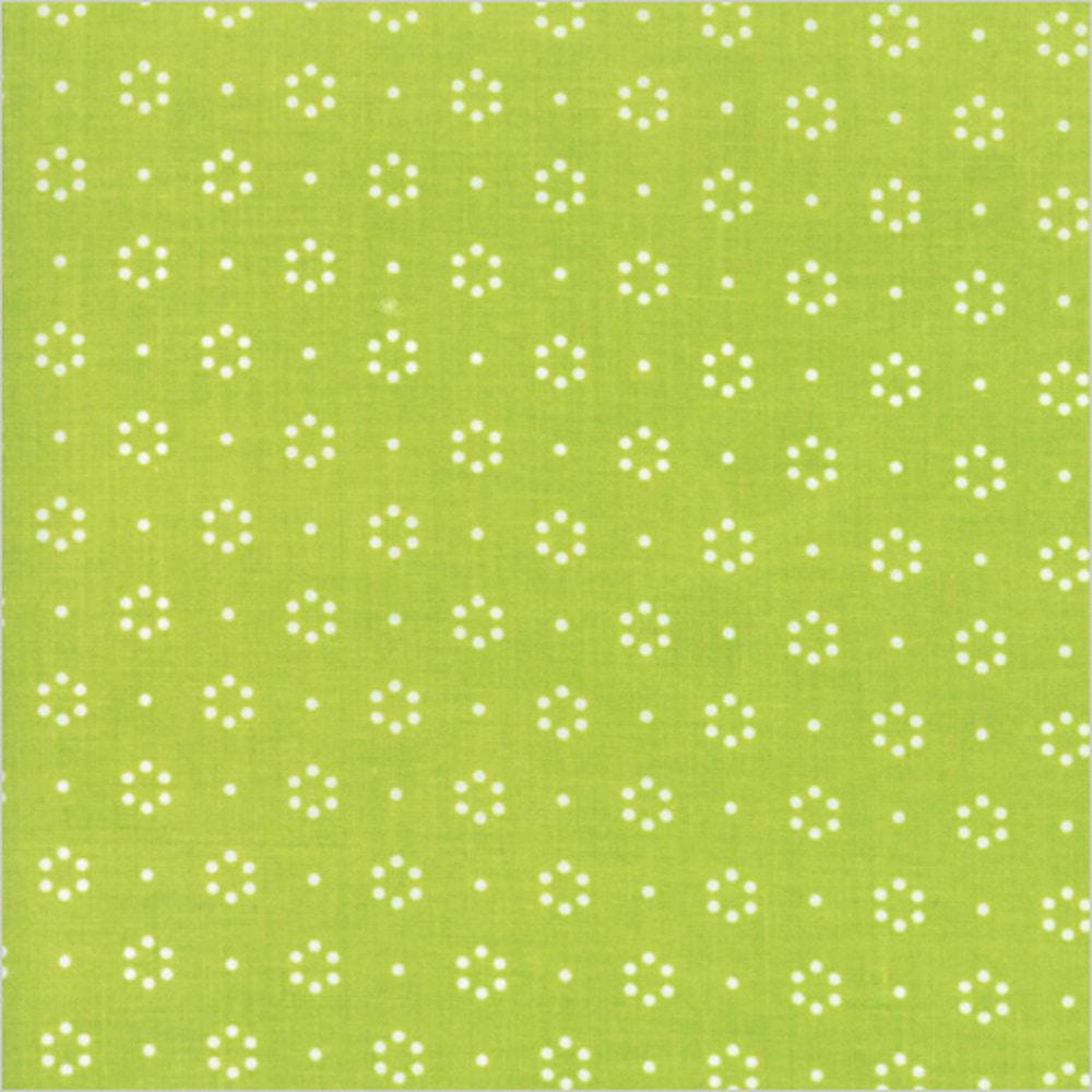 수입원단 더 굿 라이프-C2