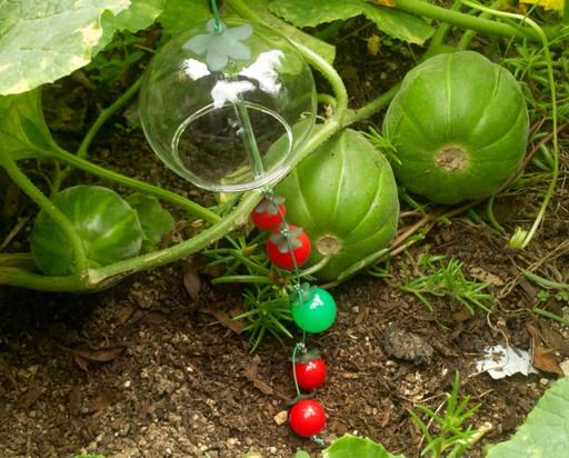 방울토마토 후우링 🍅