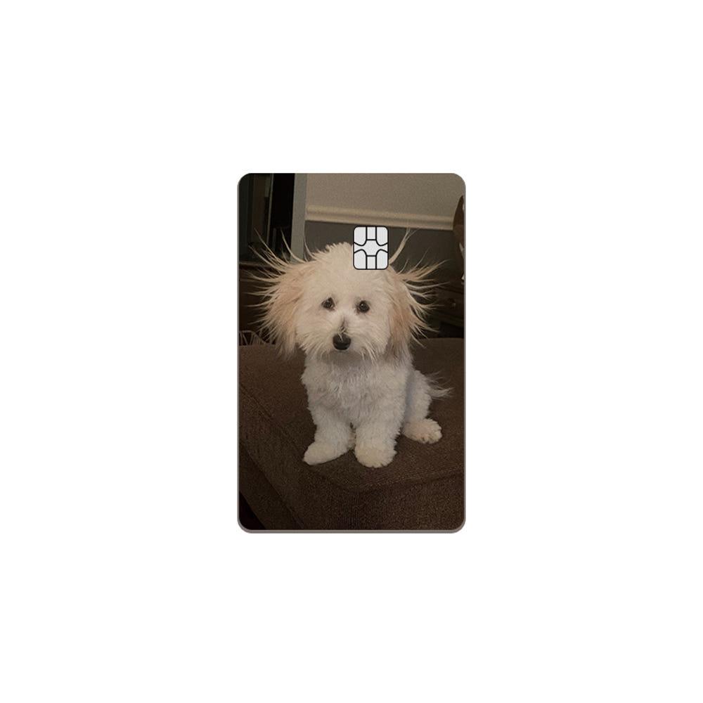Electric puppy 카드스킨