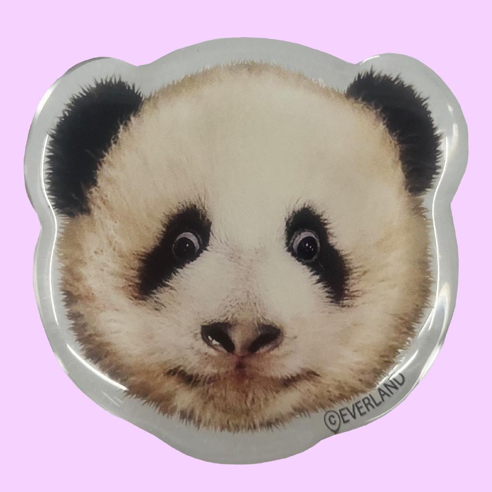 에버랜드 루이후이 스마트톡세트