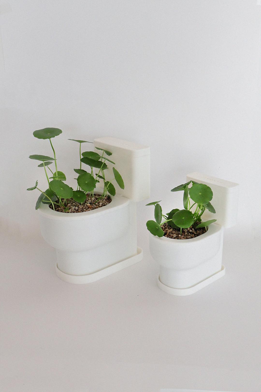 TOILET PLANT POT (WHITE) - 식물/사이즈 선택