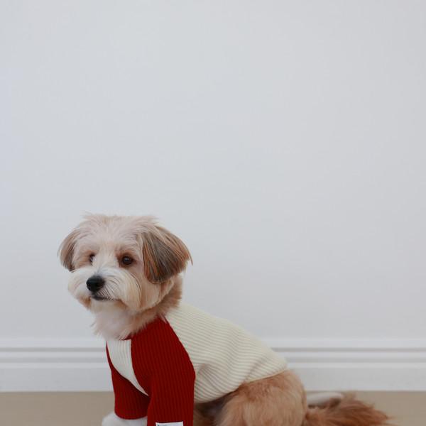 코지 래글런 니트 (Red)