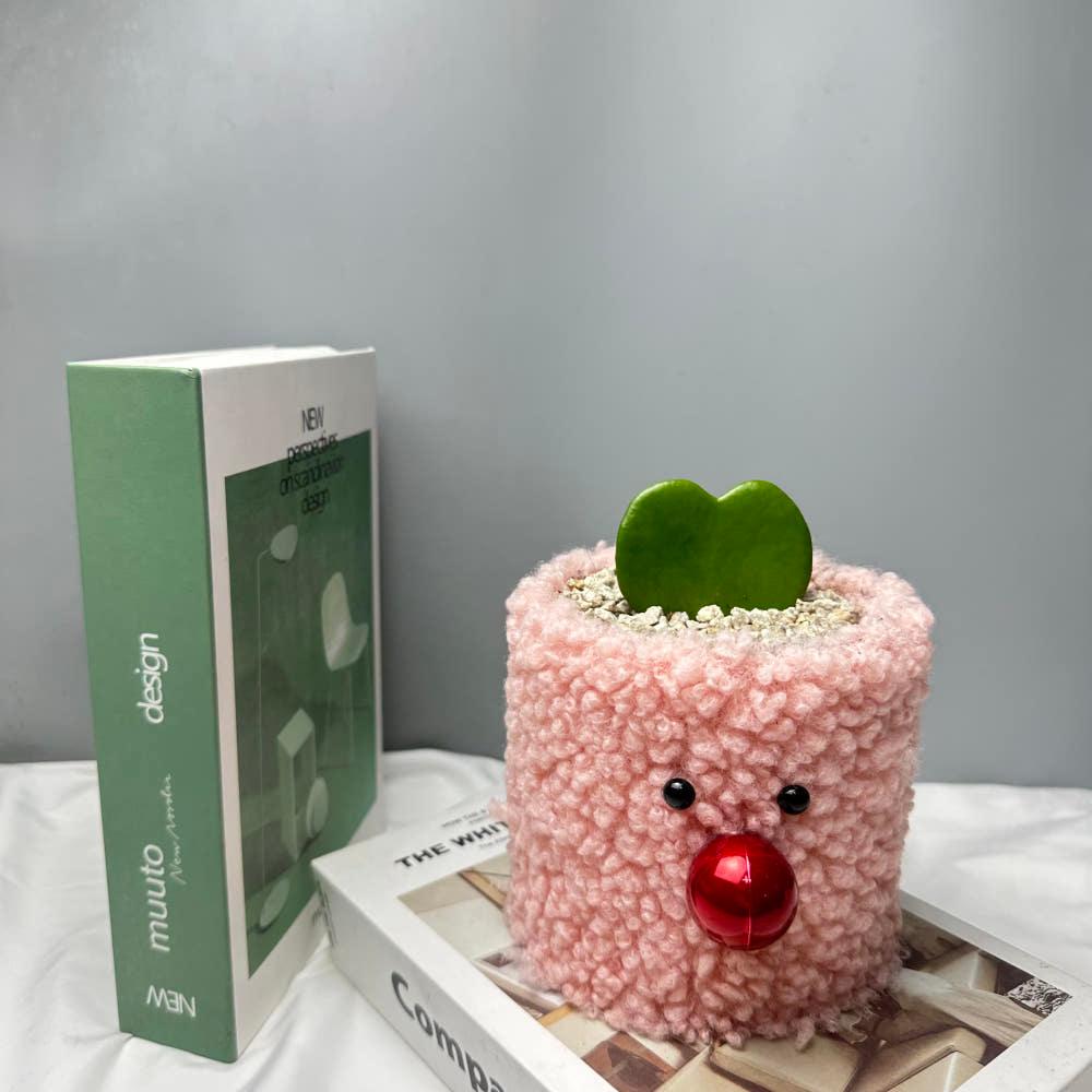 하트호야(소) 실내 공기정화 식물 다육이 키우기쉬운 식물