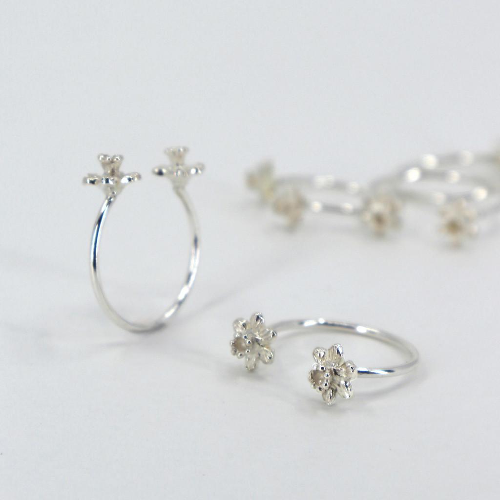 Mini Daffodil. R : YONS