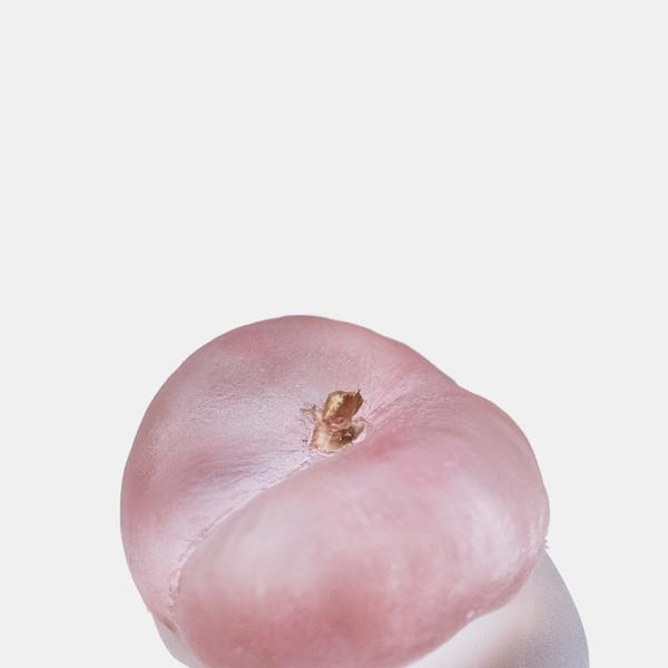 Donut Peach : 복숭아 오브제