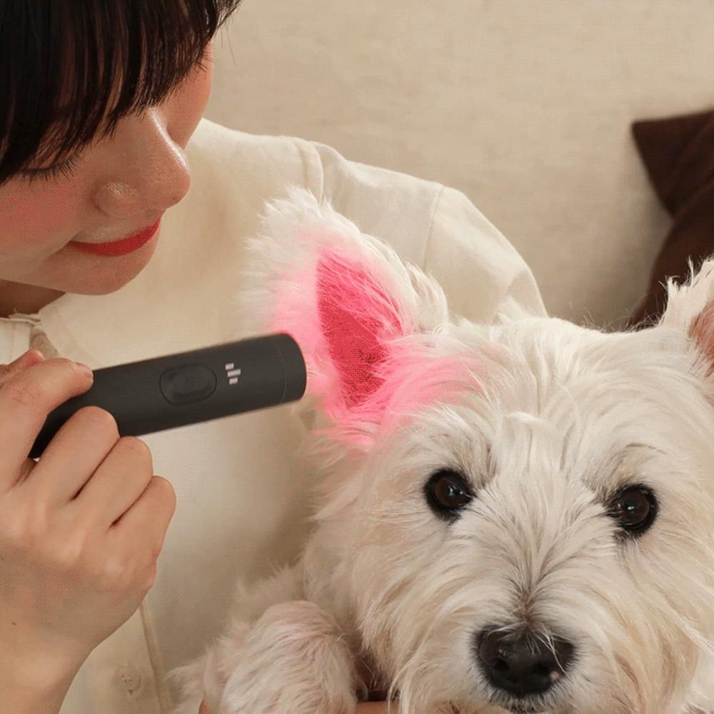 [제디] UV펫큐어라이트 강아지 고양이 염증 귀염증 중이염 귓병 발염증 링웜 완화 예방