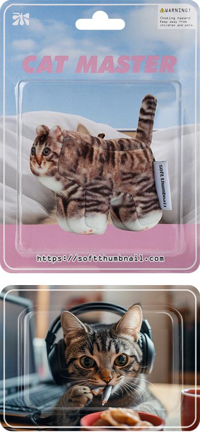 Chovy, Domestic Shorthair