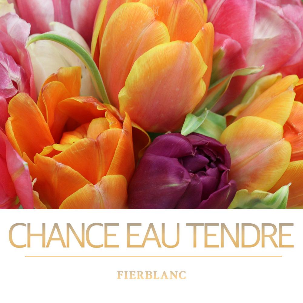 디스센스 & 피에르블랑 샹스 오 땅드르 EDP 향수 30ml