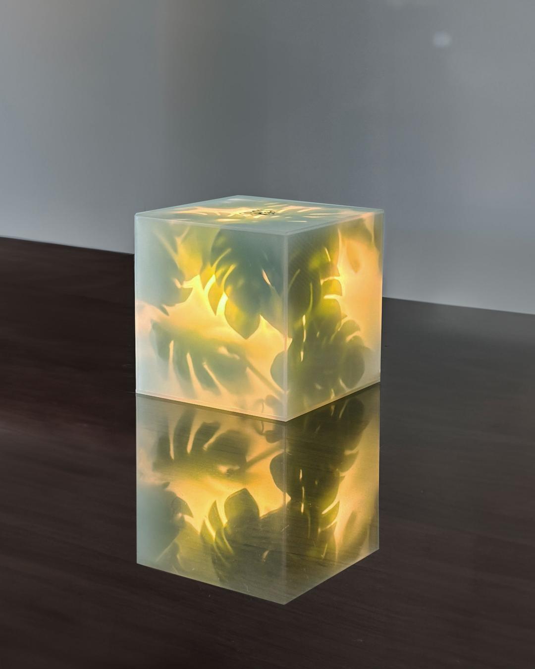 Green Light - Monstera