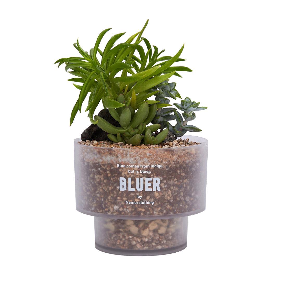 NMR X SUNDAYPLANET47 POT WHITE