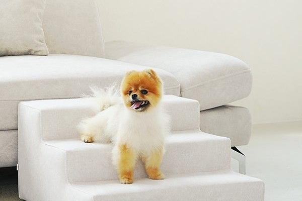 메이트 기능성방수 아쿠아텍스 패브릭 3단 강아지 계단 펫스텝 펫스툴3color