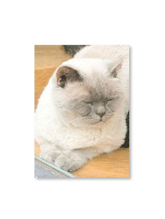 Listening to Jazz Music Postcard