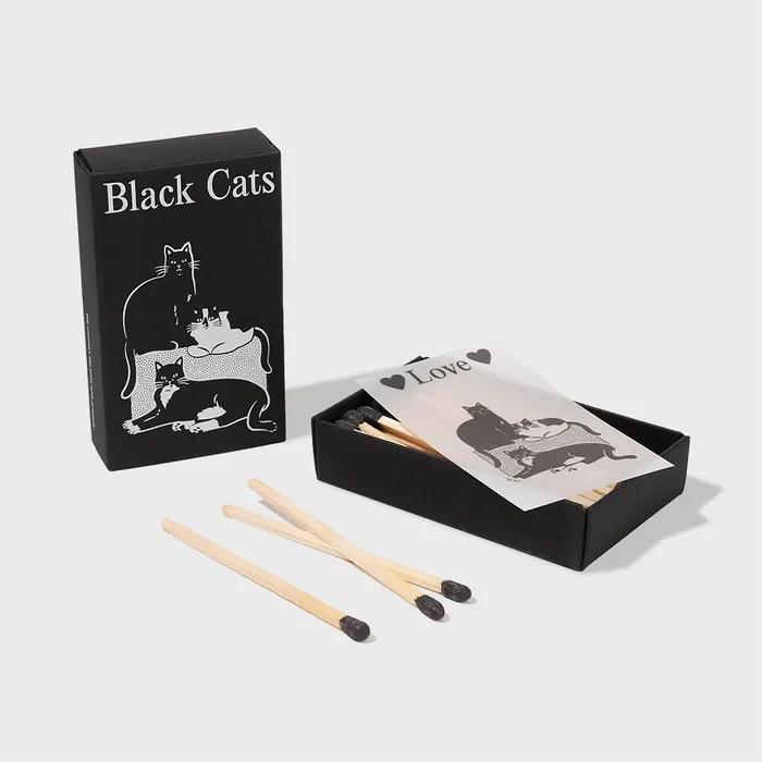 사각성냥 _ 검정고양이