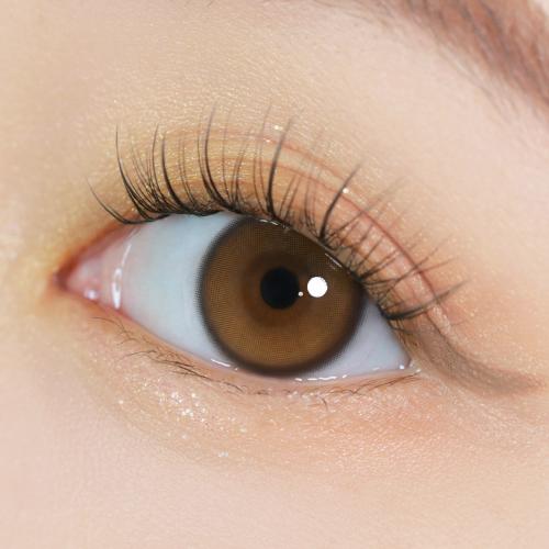 원데이 유리알 맑은 브라운