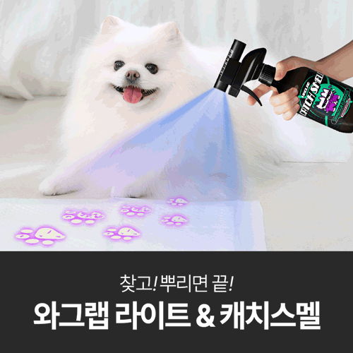 와그랩 라이트 & 캐치스멜