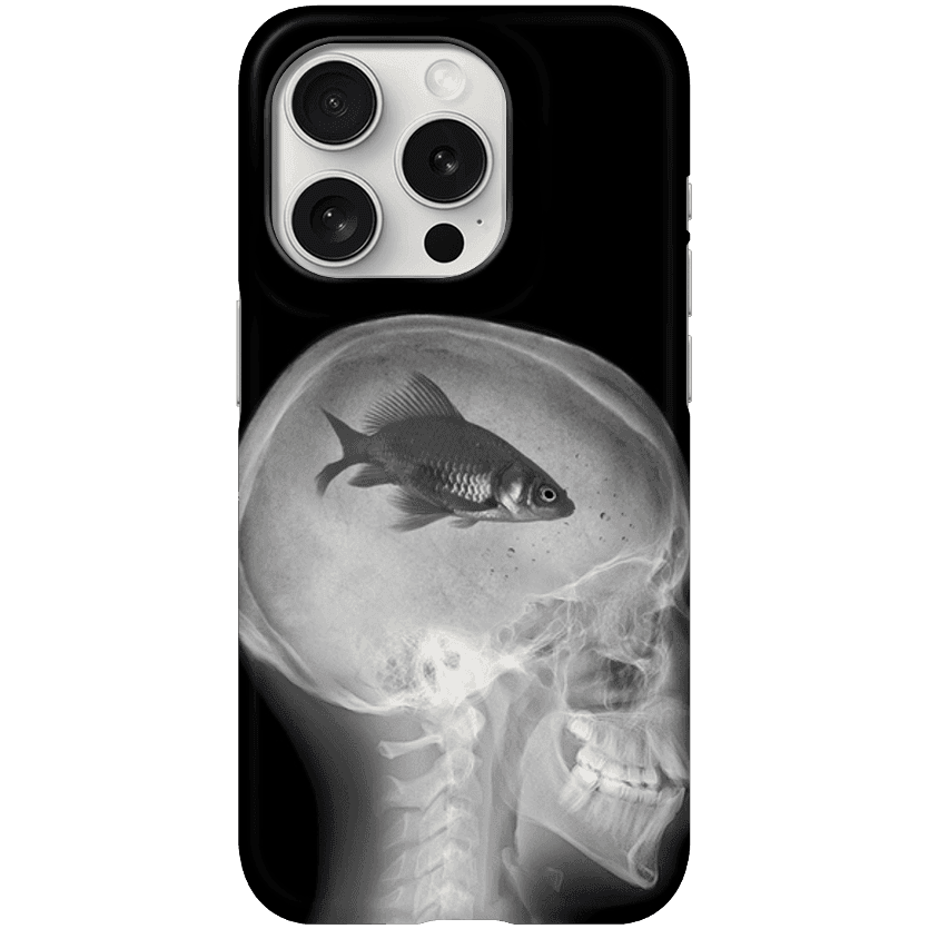 닌자교습소zip mybrainfish ㅣ 마플샵