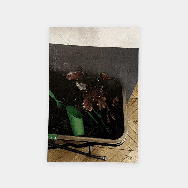 Best Part Postcard - Flower