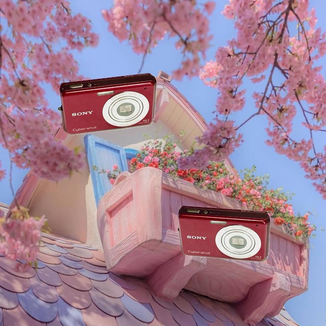 강추!)Sony Cyber-shot DSC-W180디카 | 후루츠패밀리