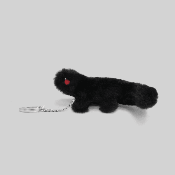 BLACK DOMI 2