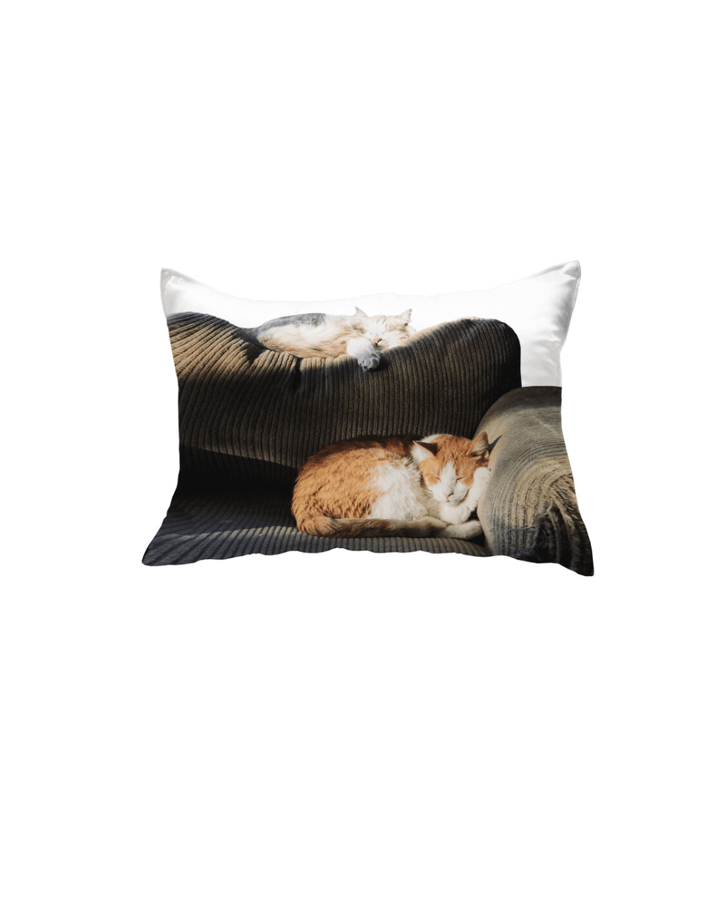 [29CM 단독] sofa cat pillow cover