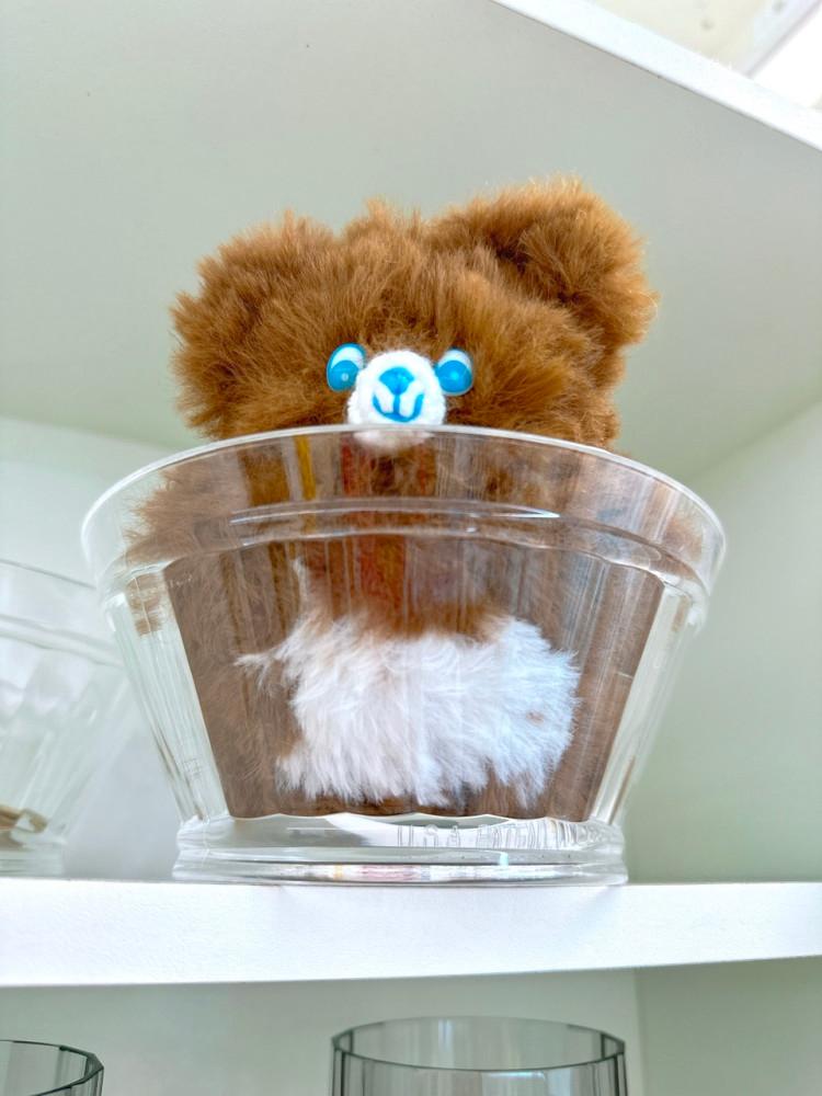 복슬복슬 사랑스런 팩토리 베어즈🐻