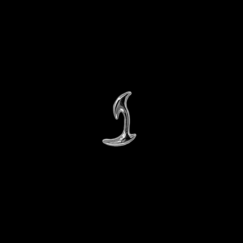 후크 피어싱/귀걸이
