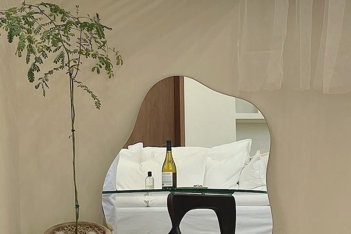 [단독] 웨이브미러 L