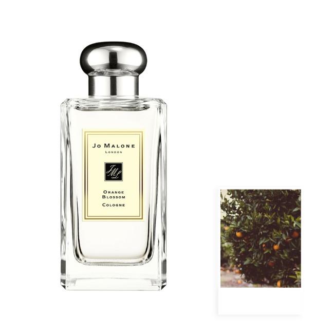 조말론 오렌지 블로썸 코롱 30/100ml