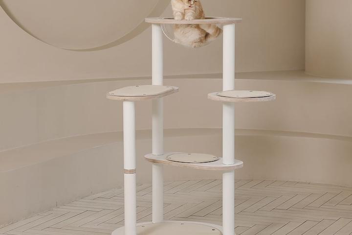 고양이 올리(all-re) 미니 캣타워