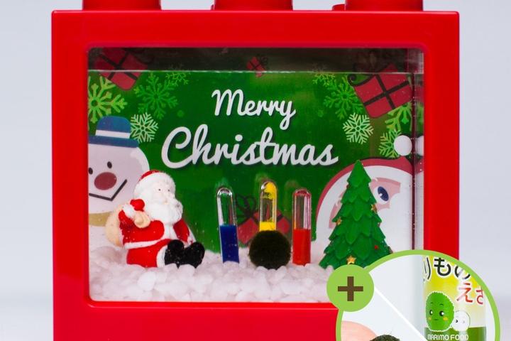 산타 겨울장식 마리모 키우기 세트 마리모포함