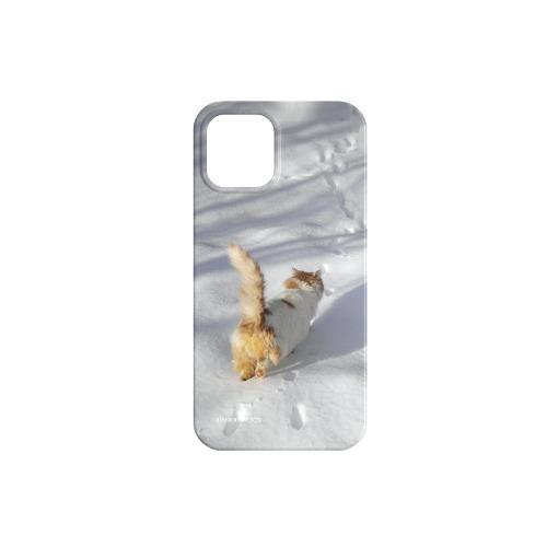 Step cat case