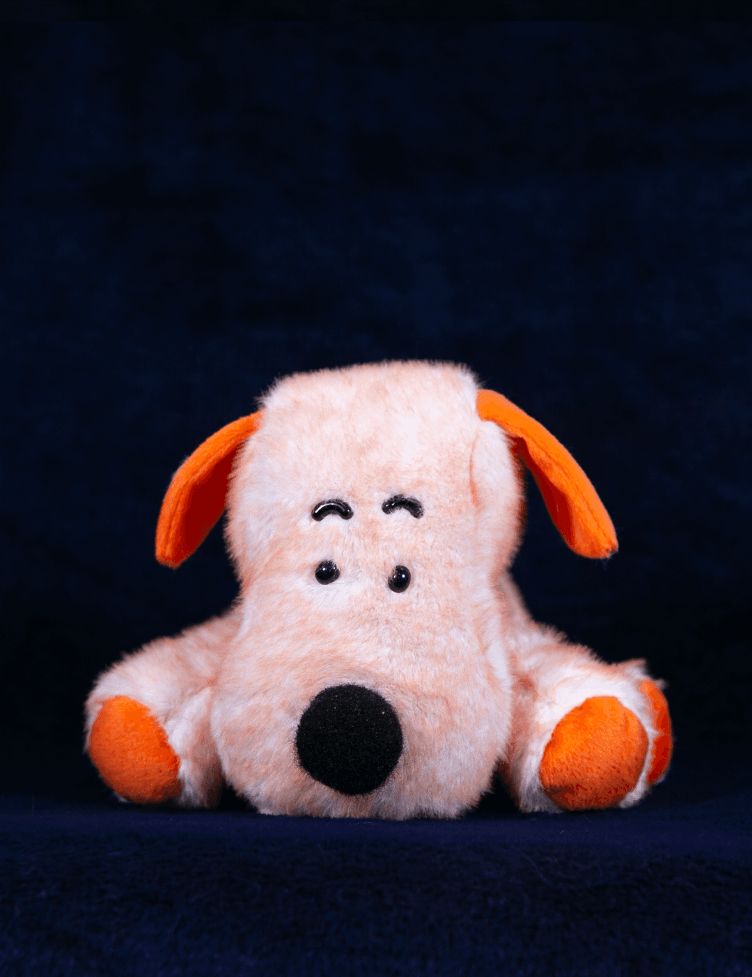 당근이지 강아지 (A carrot puppy)