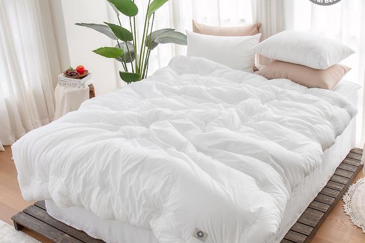 수피마 코튼 100수 고밀도 호텔식 차렵이불세트 4색상