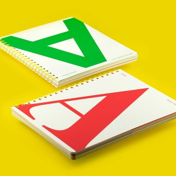 THE ARIZONA TYPE SPECIMEN