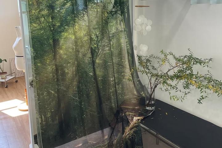 [10%쿠폰] 쉬폰 패브릭 포스터 인테리어 가리개 커튼 2size 11종