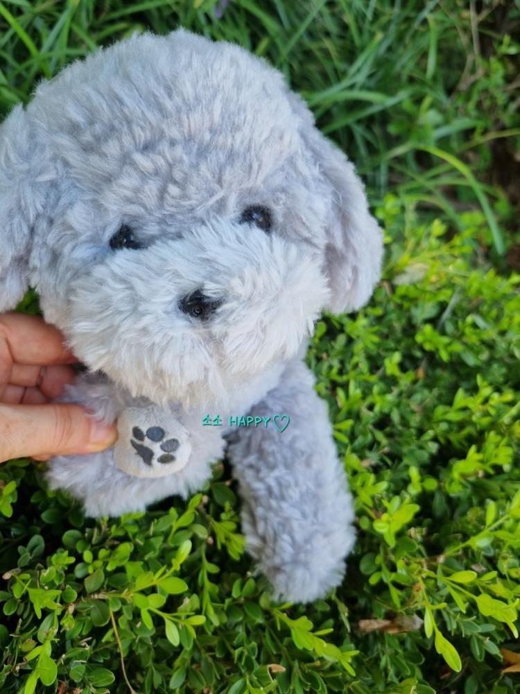 선레몬 sunlemon 토이 푸들 강아지 인형 국민 애착 인형 S 히자완꼬