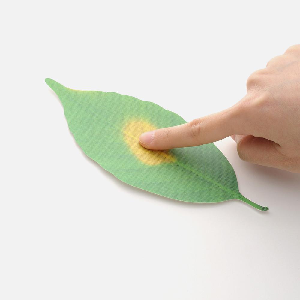 +d 플러스디 나뭇잎 온도계 (Leaf Thermometer)