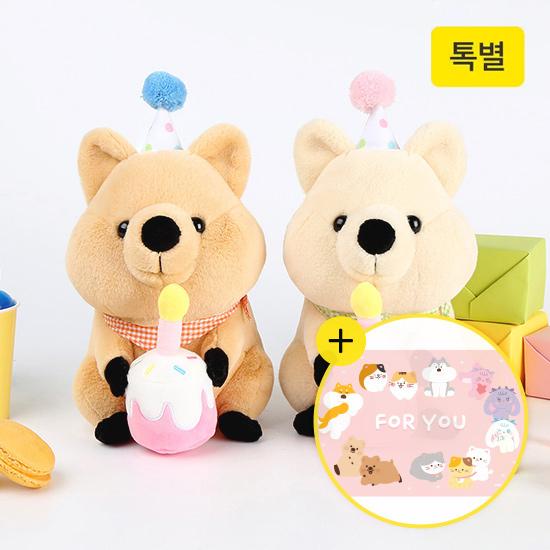 '쿼여워~' 행복한 동물 키키 쿼카 말랑모찌 생일축하 인형(+메세지카드) 귀여운선물