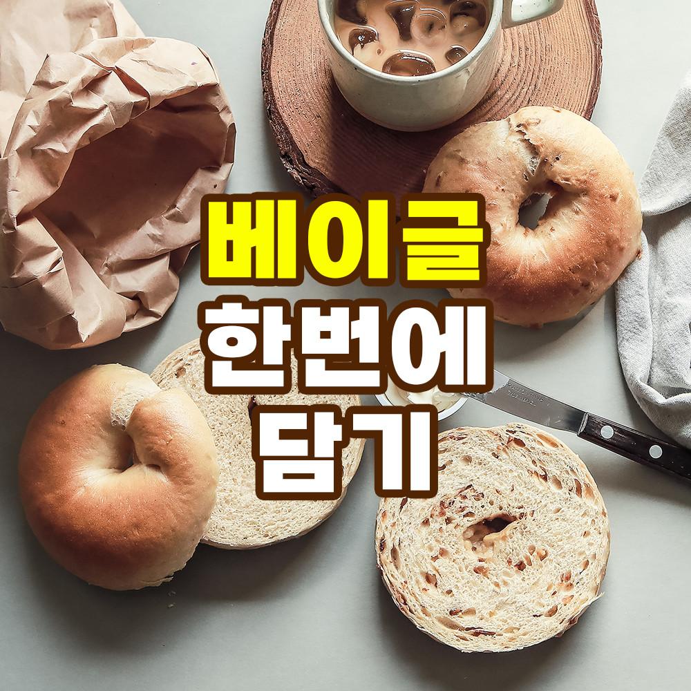히피스베이글 한번에 담기