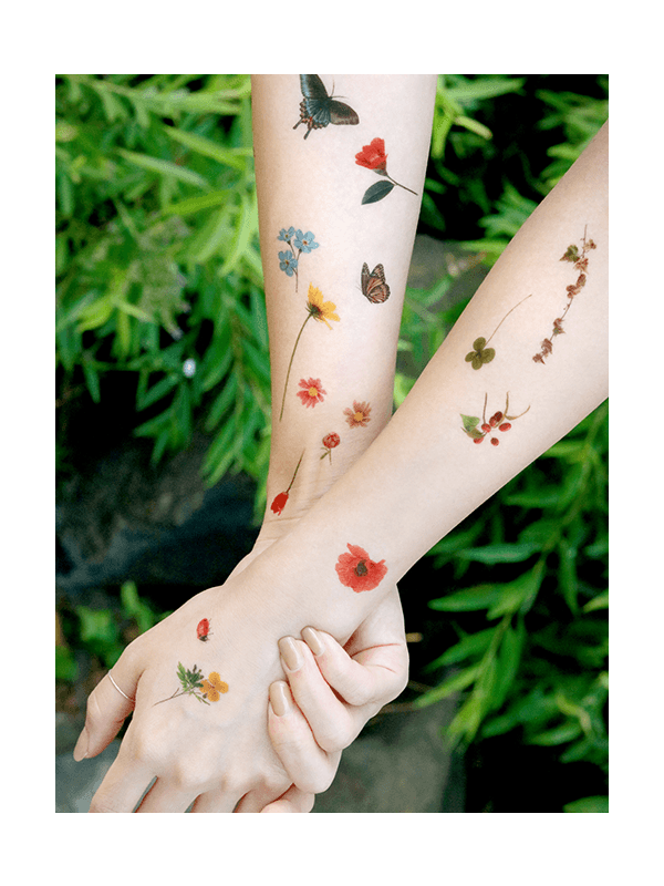 no.15 나비정원 Medium