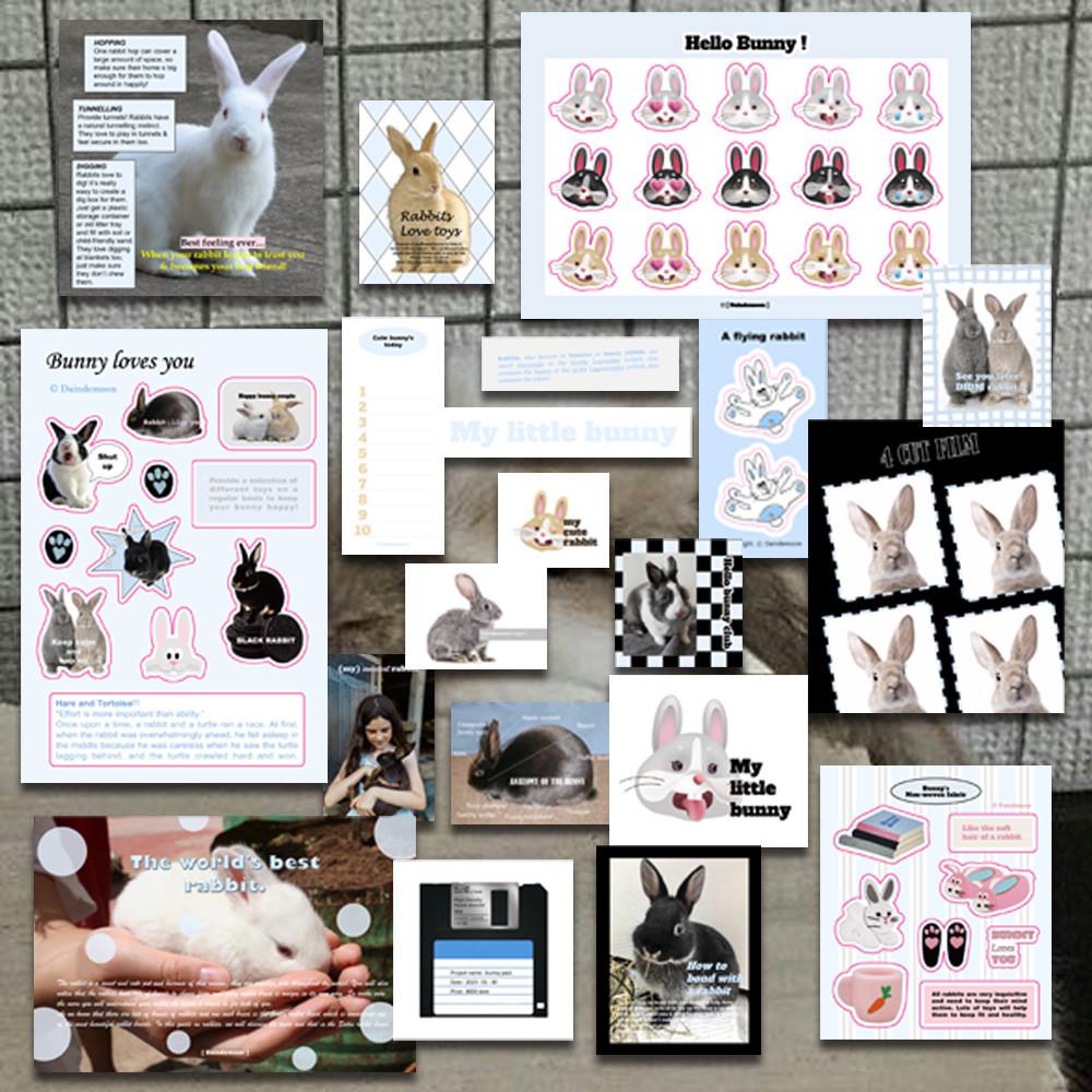 Bunny pack