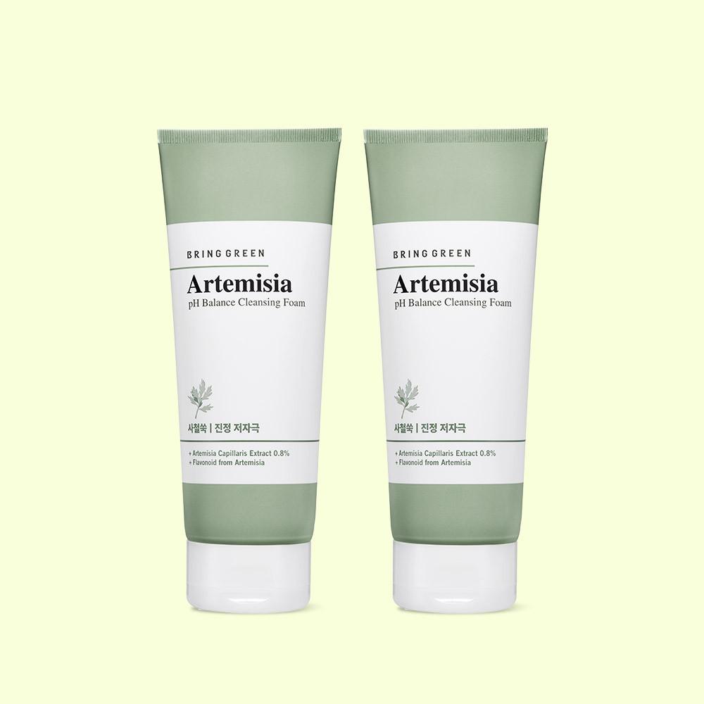 브링그린 사철쑥 약산성 클렌징폼 더블기획 200ml+200ml