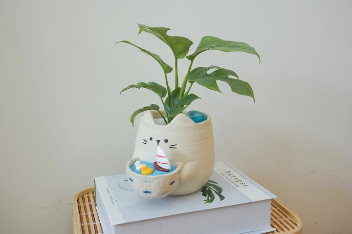 더블 냥이 토분