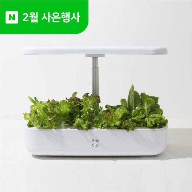 오늘식물 Air 식물재배기 수경재배기 가정용 스마트팜
