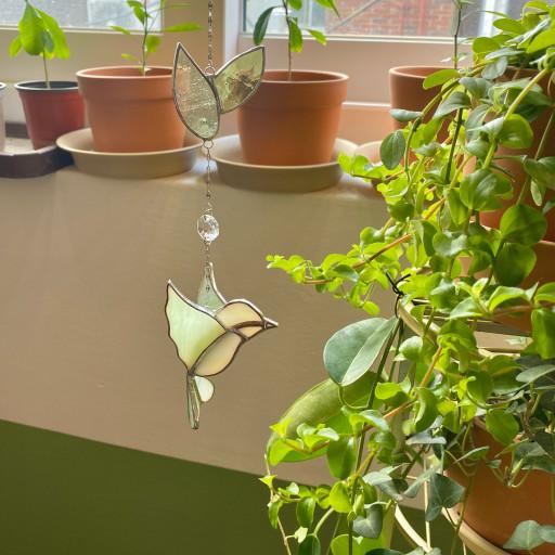 브리즈 버드🌿