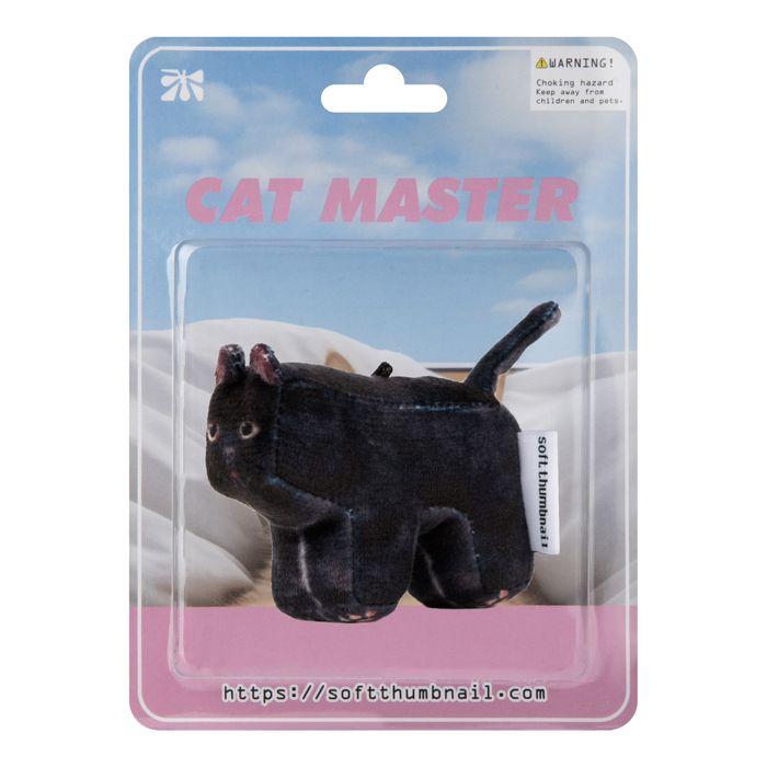 Mang, American Shorthair