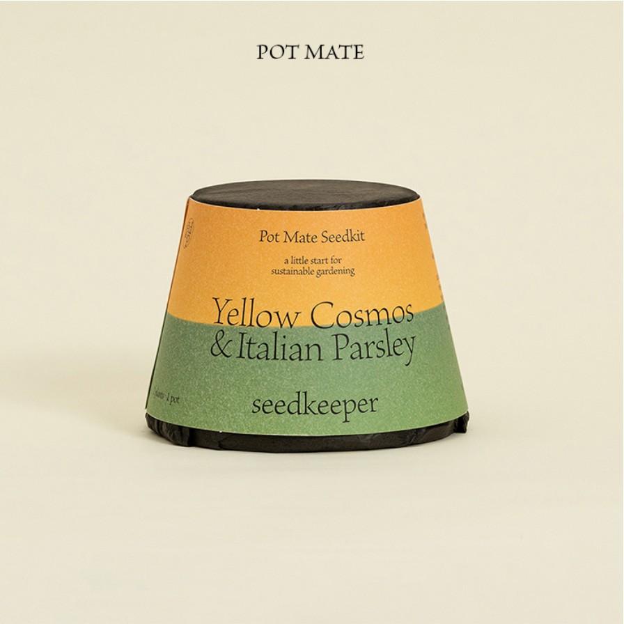 [씨드키퍼] 노랑 코스모스 x 이탈리안 파슬리 씨앗키트