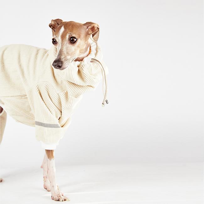 CORDUROY PULLOVER [WHITE]