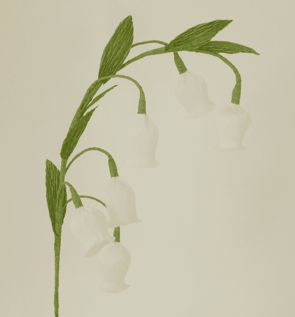 lapalma x flant _ 샌더소니아