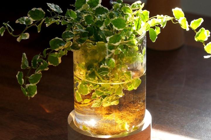 원목 LED 식물 무드등 플랜테리어 인테리어 조명